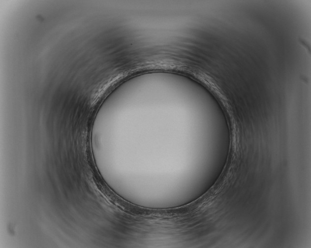 X0000103470434200809121123