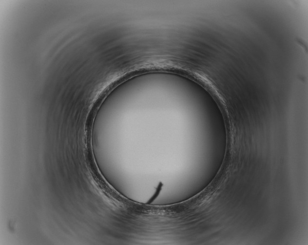 X0000103470439200809121123