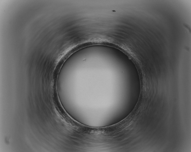 X0000103470440200809121123