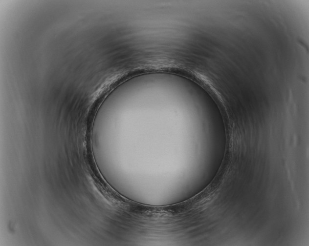 X0000103470443200809121123
