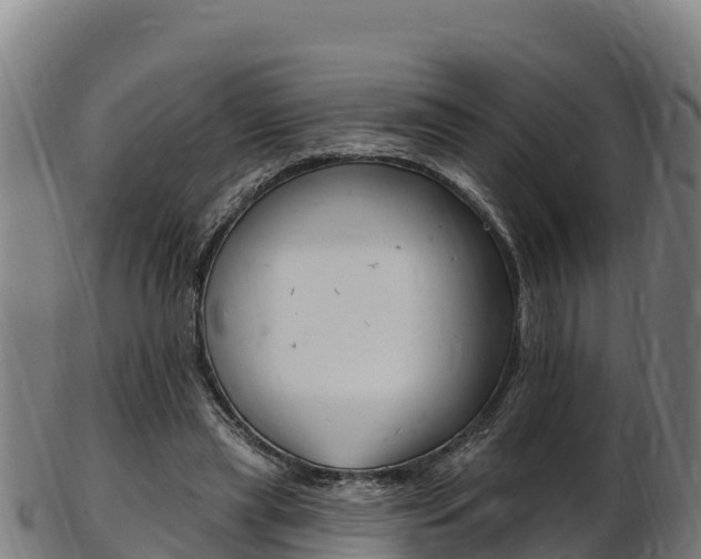 X0000103470445200809121123