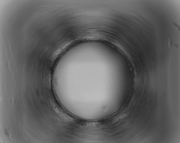 X0000103470446200809121123