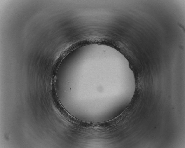 X0000103470448200809121123
