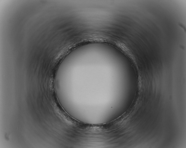X0000103470449200809121123
