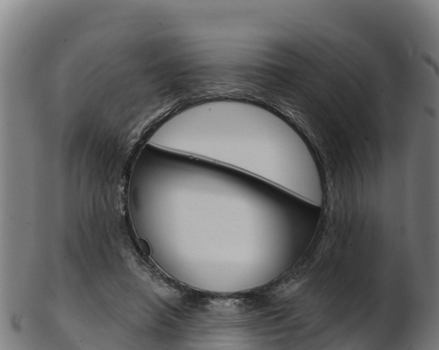 X0000103470450200809121123