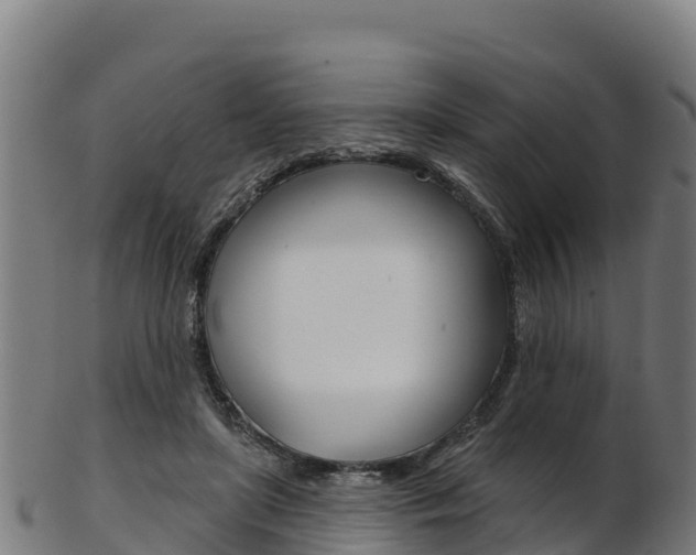 X0000103470451200809121123