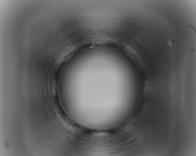 X0000103470452200809121123