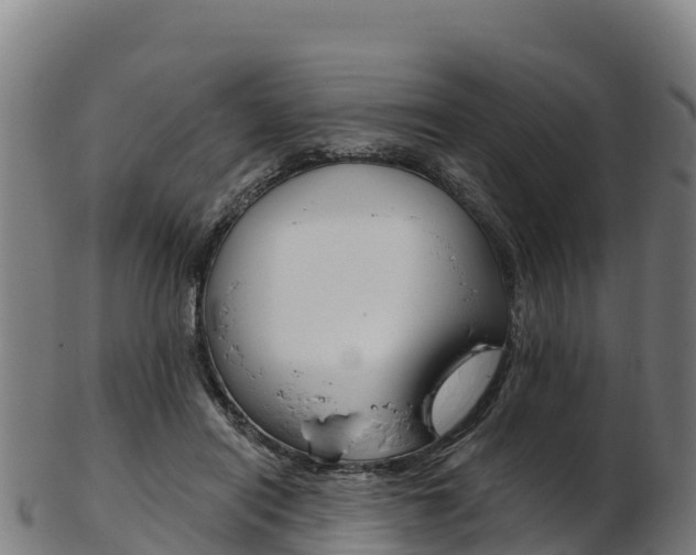 X0000103470454200809121123