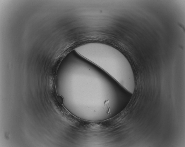 X0000103470456200809121123