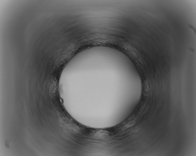 X0000103470463200809121124