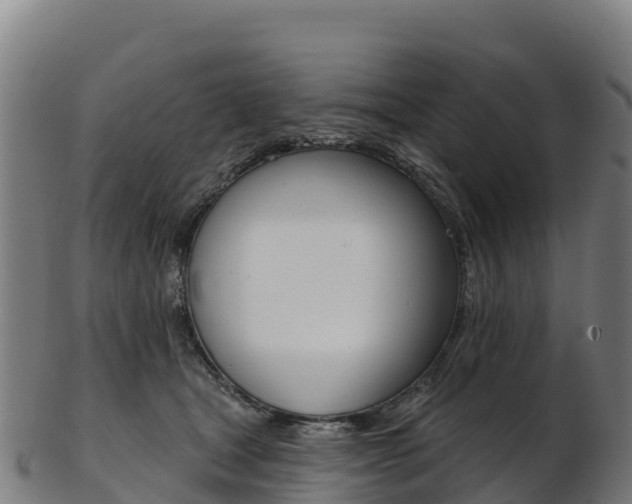 X0000103470465200809121124