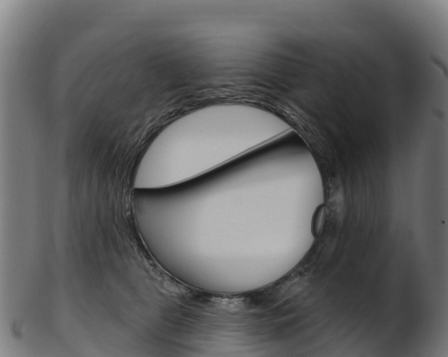 X0000103470469200809121124