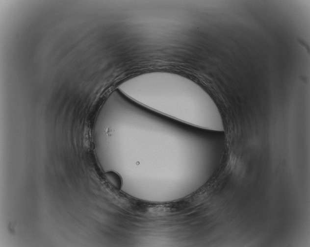 X0000103470470200809121124