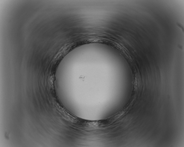 X0000103470473200809121124
