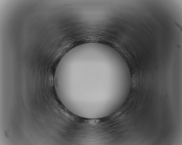 X0000103470474200809121124