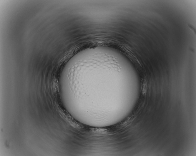 X0000103470476200809121124