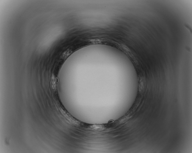 X0000103470477200809121124