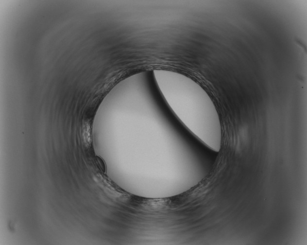X0000103470479200809121124
