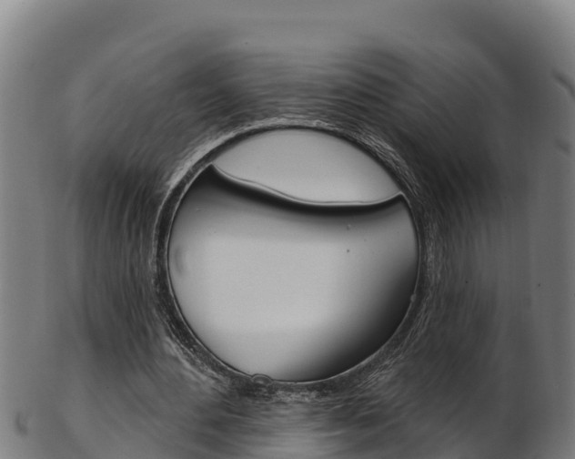 X0000103470484200809121123