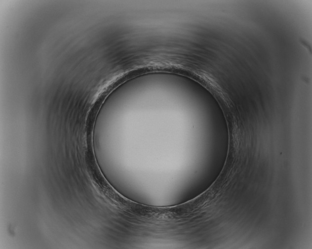 X0000103470488200809121123