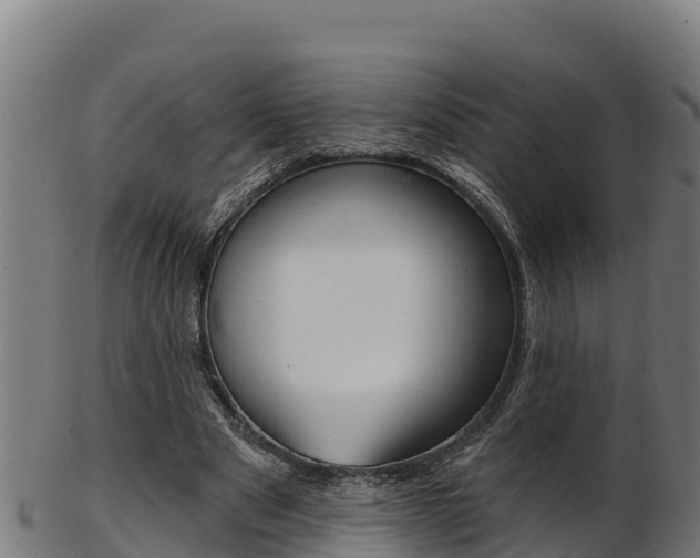X0000103470489200809121123