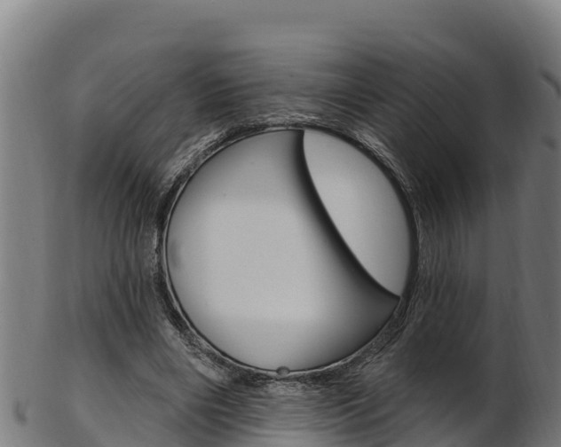X0000103470490200809121123