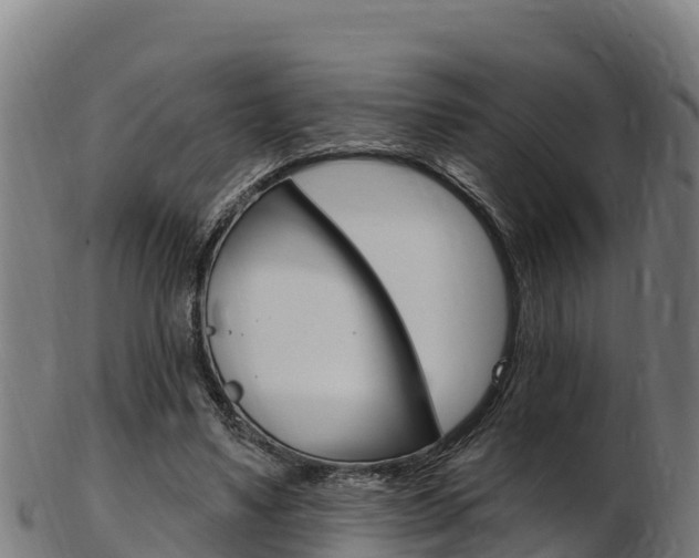 X0000103470491200809121123