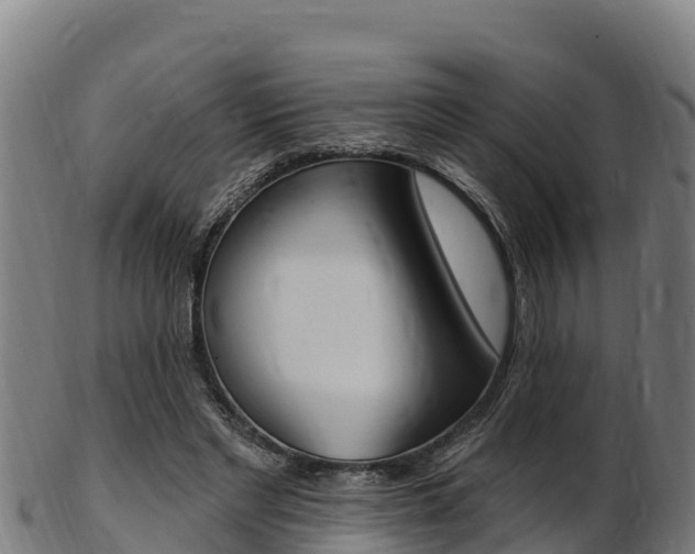 X0000103470493200809121123