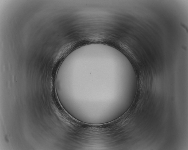 X0000103470494200809121123