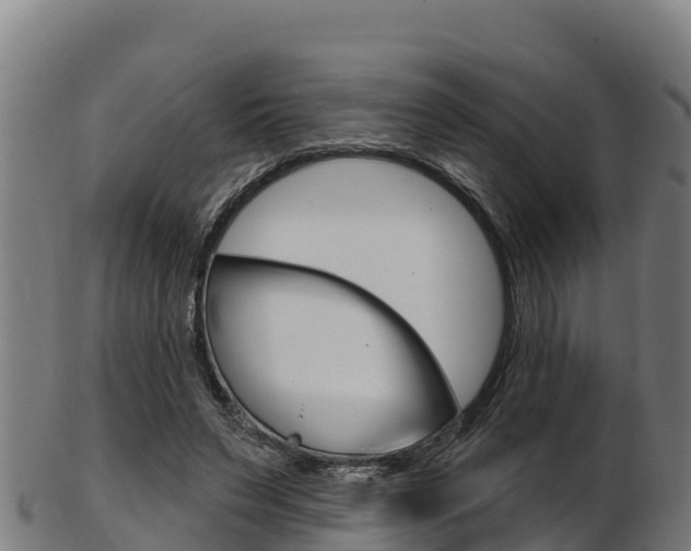 X0000103470495200809121123