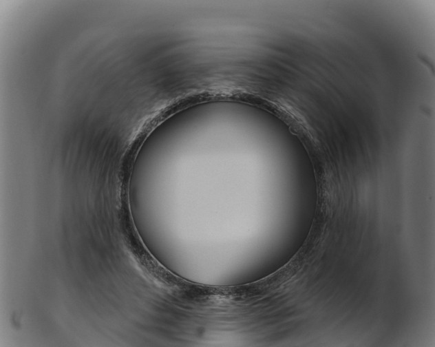 X0000103470496200809121123