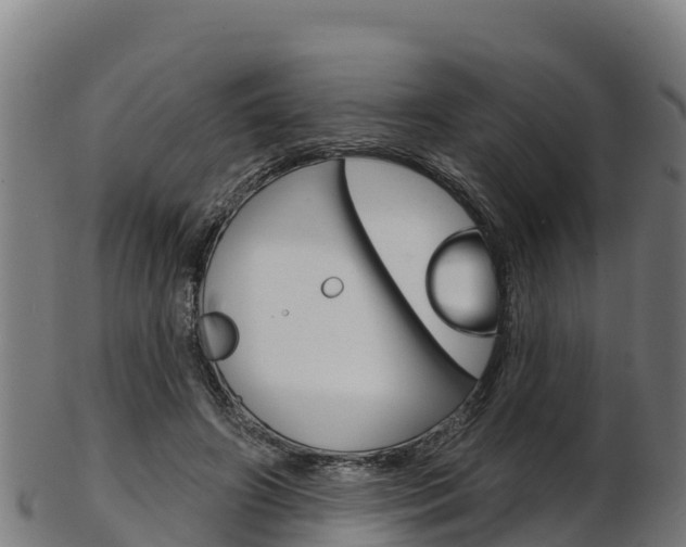 X0000103470498200809121123