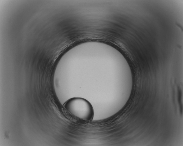 X0000103470500200809121123