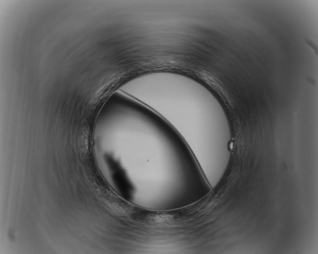 X0000103470501200809121123