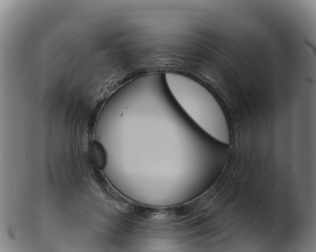X0000103470504200809121123