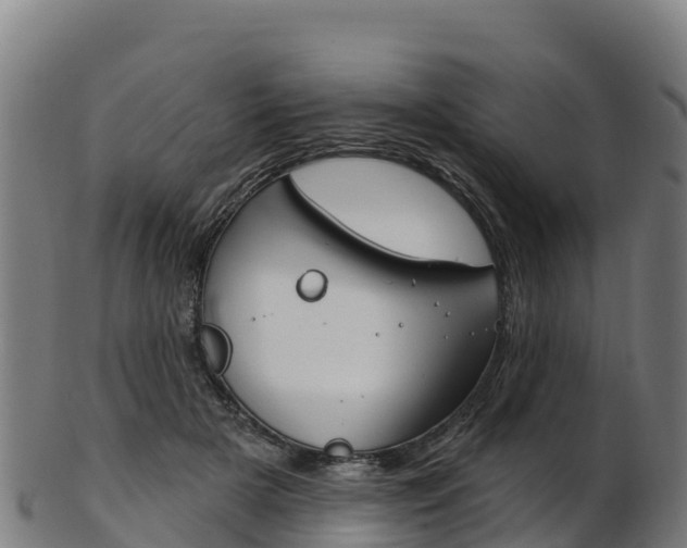 X0000103470505200809121123