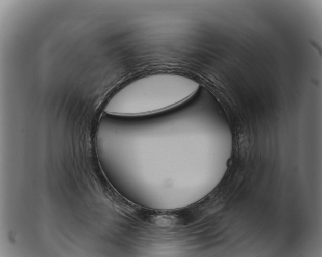 X0000103470508200809121123
