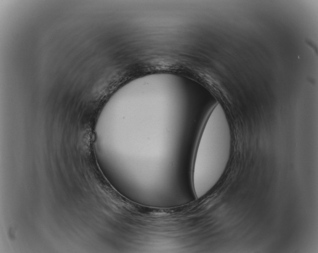 X0000103470509200809121123