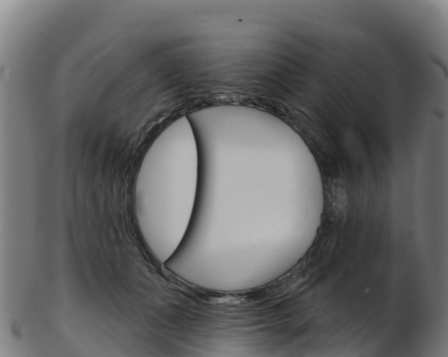 X0000103470511200809121123