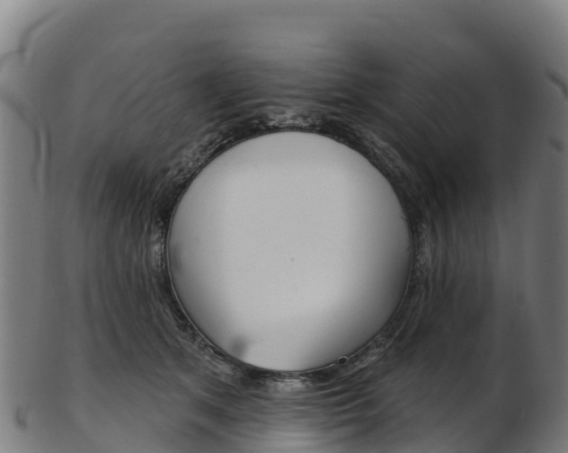 X0000103470513200809121123