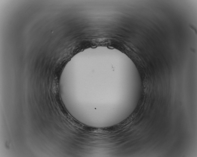 X0000103470515200809121123
