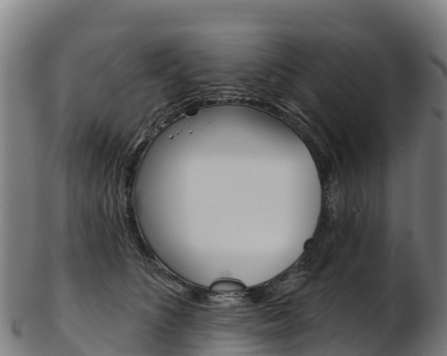 X0000103470516200809121123