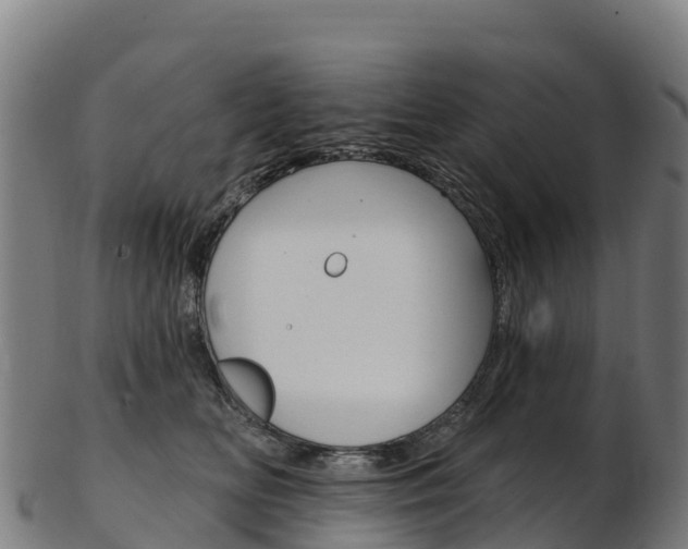 X0000103470518200809121123
