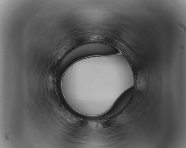X0000103470520200809121123