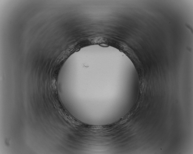 X0000103470521200809121123