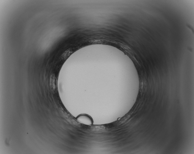 X0000103470525200809121122