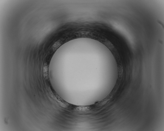 X0000103470526200809121122