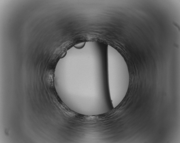 X0000103470527200809121122