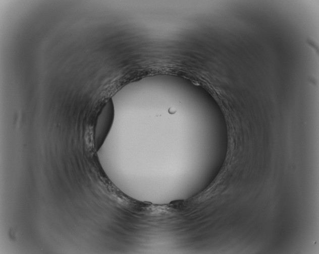 X0000103470528200809121122