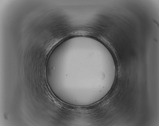 X0000103470529200809121122